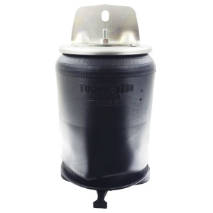 TR9663 | Trailer Air Spring
